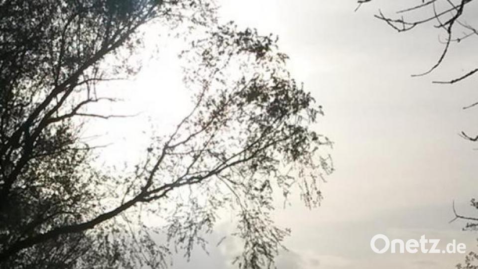 Unsere Facebook-Fans teilen ihre schönsten Sommerbilder mit uns. Bild: Lea Spitzenberger