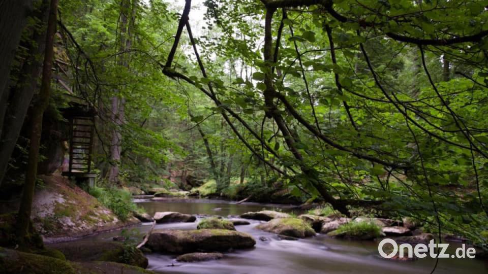 Unsere Facebook-Fans teilen ihre schönsten Sommerbilder mit uns. Bild: Verena Hörold
