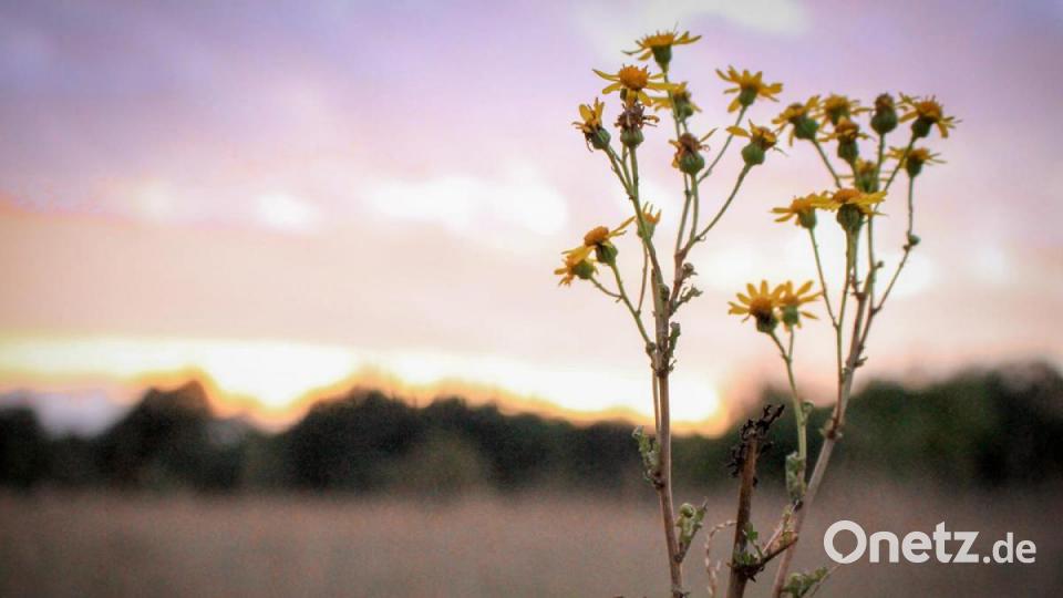 Unsere Facebook-Fans teilen ihre schönsten Sommerbilder mit uns. Bild: Marcel Gle