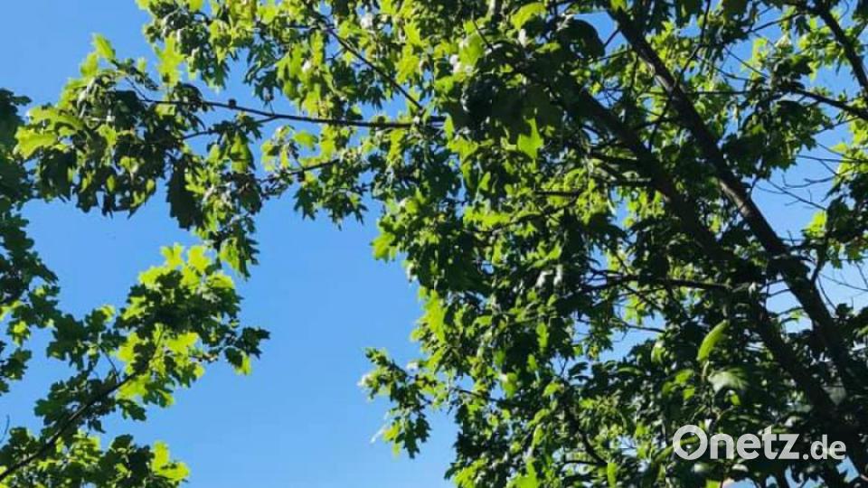 Unsere Facebook-Fans teilen ihre schönsten Sommerbilder mit uns. Bild: Marcel Krcelji