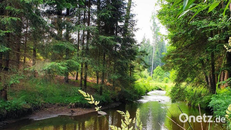 Unsere Facebook-Fans teilen ihre schönsten Sommerbilder mit uns. Bild: Andrea Wild