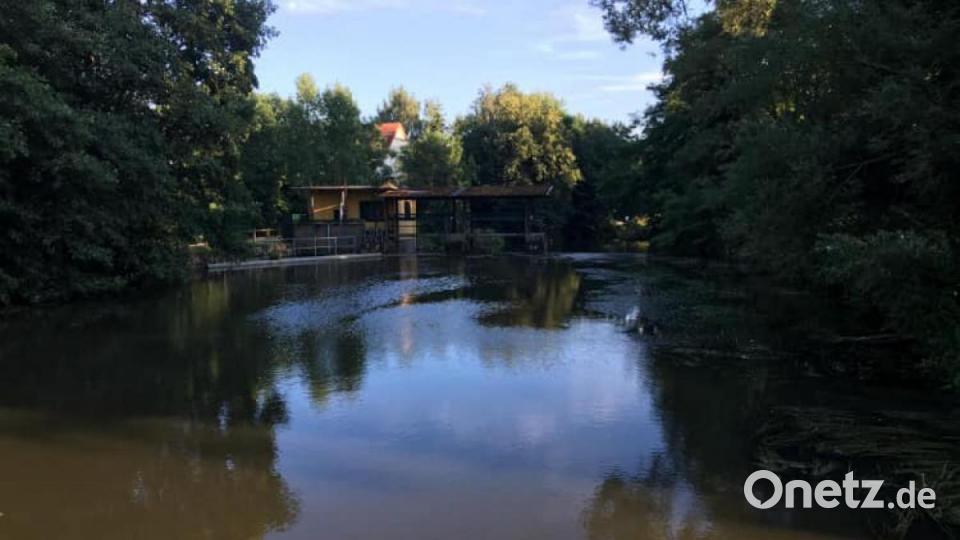 Unsere Facebook-Fans teilen ihre schönsten Sommerbilder mit uns. Bild: Margit Köpnick