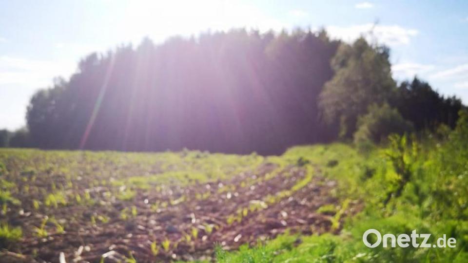 Unsere Facebook-Fans teilen ihre schönsten Sommerbilder mit uns. Bild: Daniel Kellner