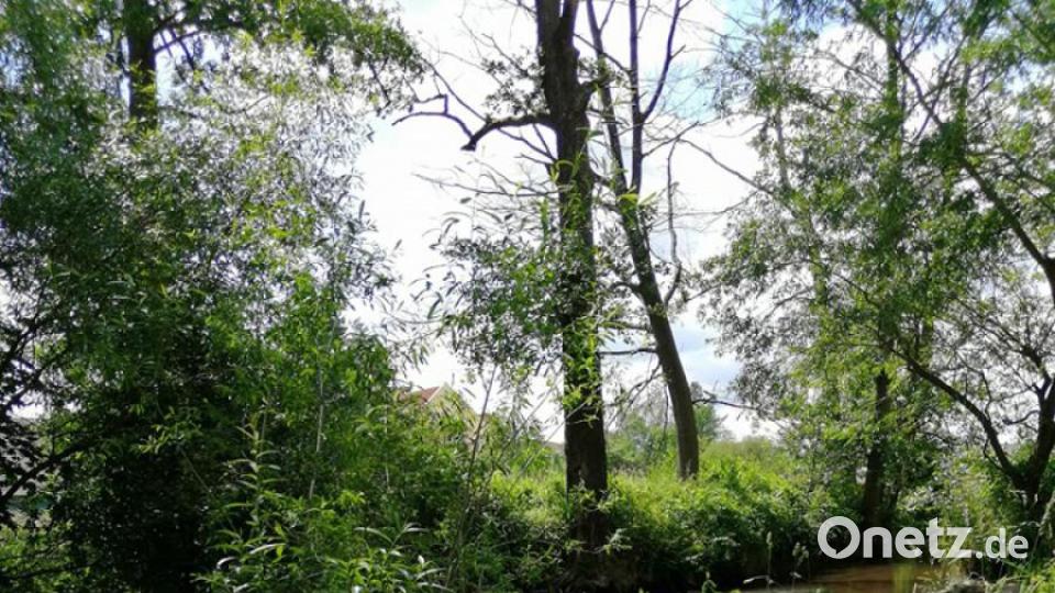 Unsere Facebook-Fans teilen ihre schönsten Sommerbilder mit uns. Bild: Michelle Fischer