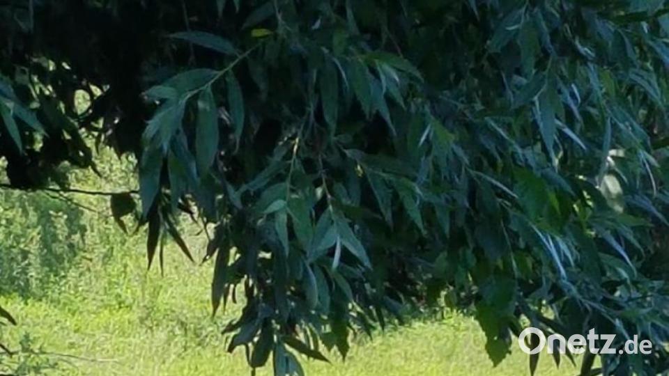 Unsere Facebook-Fans teilen ihre schönsten Sommerbilder mit uns. Bild: Silke Faust