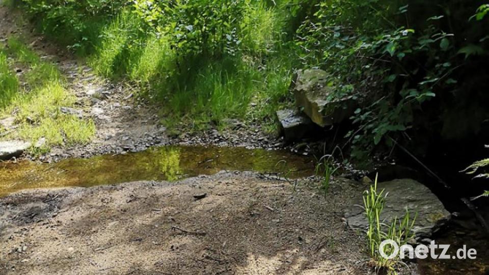 Unsere Facebook-Fans teilen ihre schönsten Sommerbilder mit uns. Bild: Katharina Kristahn