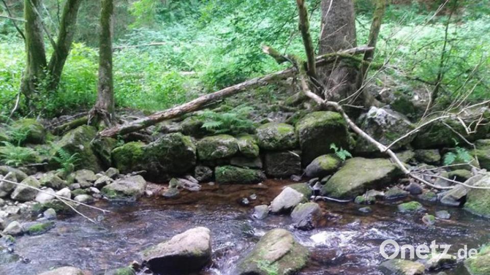 Unsere Facebook-Fans teilen ihre schönsten Sommerbilder mit uns. Bild: Silvio Winter