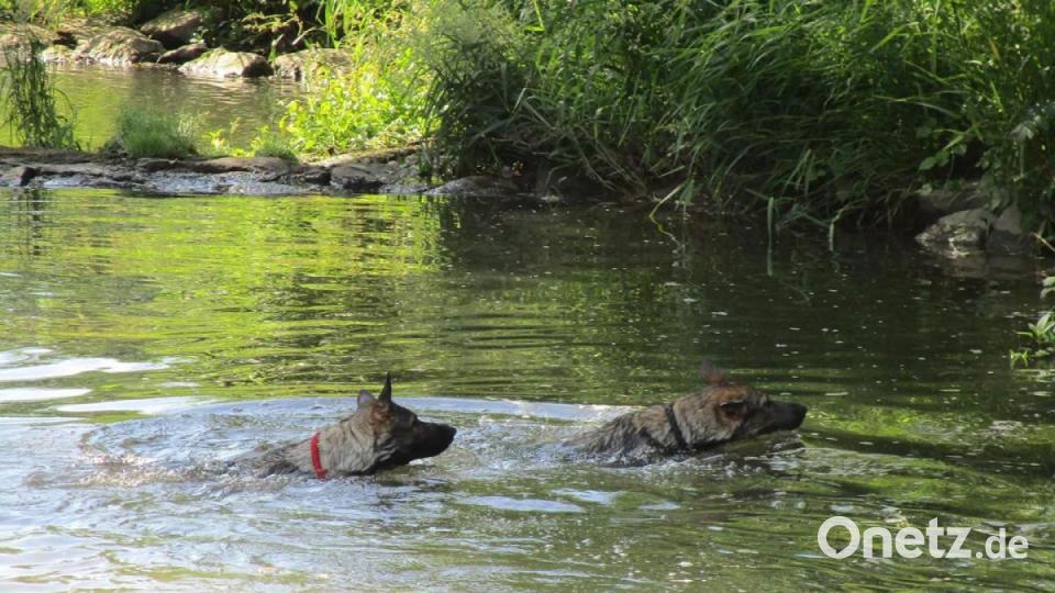 Unsere Facebook-Fans teilen ihre schönsten Sommerbilder mit uns. Bild: Meli Hä