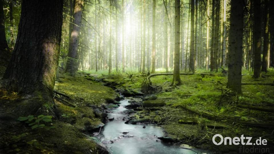 Unsere Facebook-Fans teilen ihre schönsten Sommerbilder mit uns. Bild: Lisa Rosner