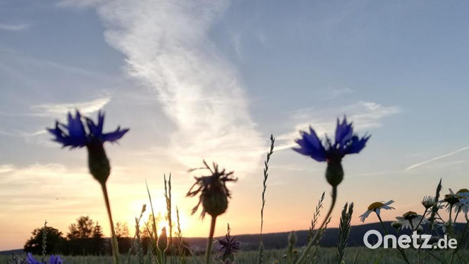 Unsere Facebook-Fans teilen ihre schönsten Sommerbilder mit uns. Bild: Lisa Rosner