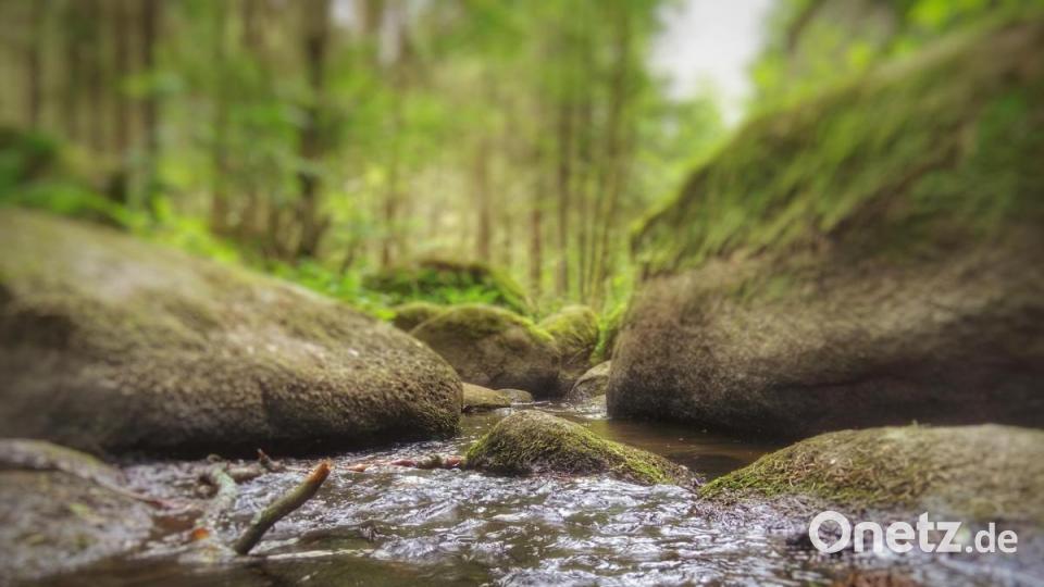 Unsere Facebook-Fans teilen ihre schönsten Sommerbilder mit uns. Bild: Thomas Gietzke