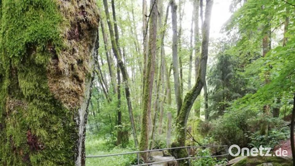 Unsere Facebook-Fans teilen ihre schönsten Sommerbilder mit uns. Bild: Sandra Dietl