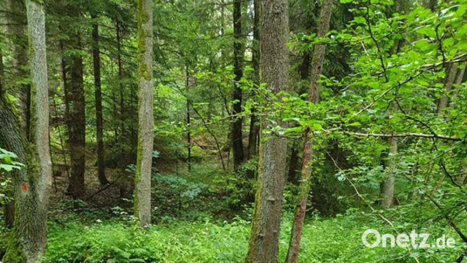 Unsere Facebook-Fans teilen ihre schönsten Sommerbilder mit uns. Bild: Sandra Dietl