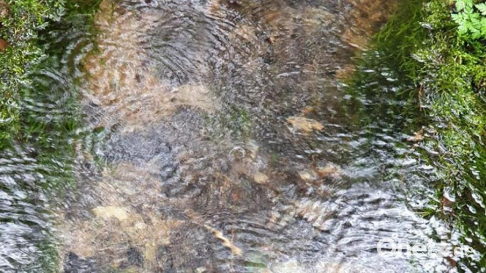 Unsere Facebook-Fans teilen ihre schönsten Sommerbilder mit uns. Bild: Ronny Zechel