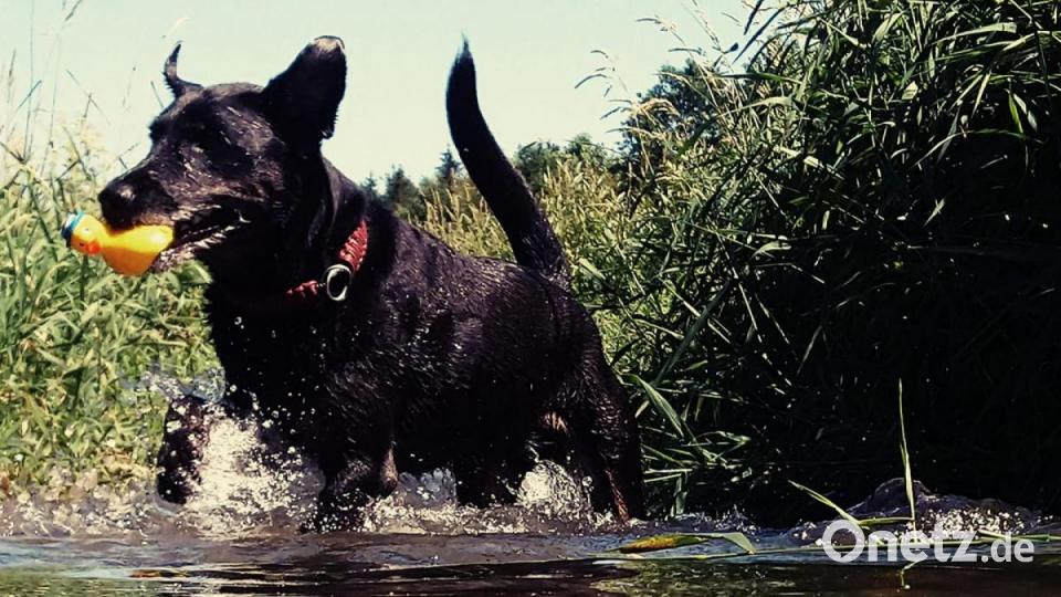 Unsere Facebook-Fans teilen ihre schönsten Sommerbilder mit uns. Bild: Monika Speckner