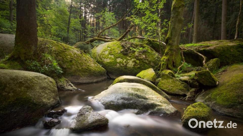 Unsere Facebook-Fans teilen ihre schönsten Sommerbilder mit uns. Bild: Lena Held