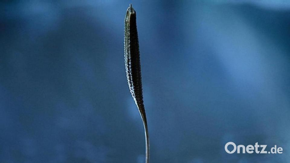 Unsere Facebook-Fans teilen ihre schönsten Sommerbilder mit uns. Bild: Daniel Seibold
