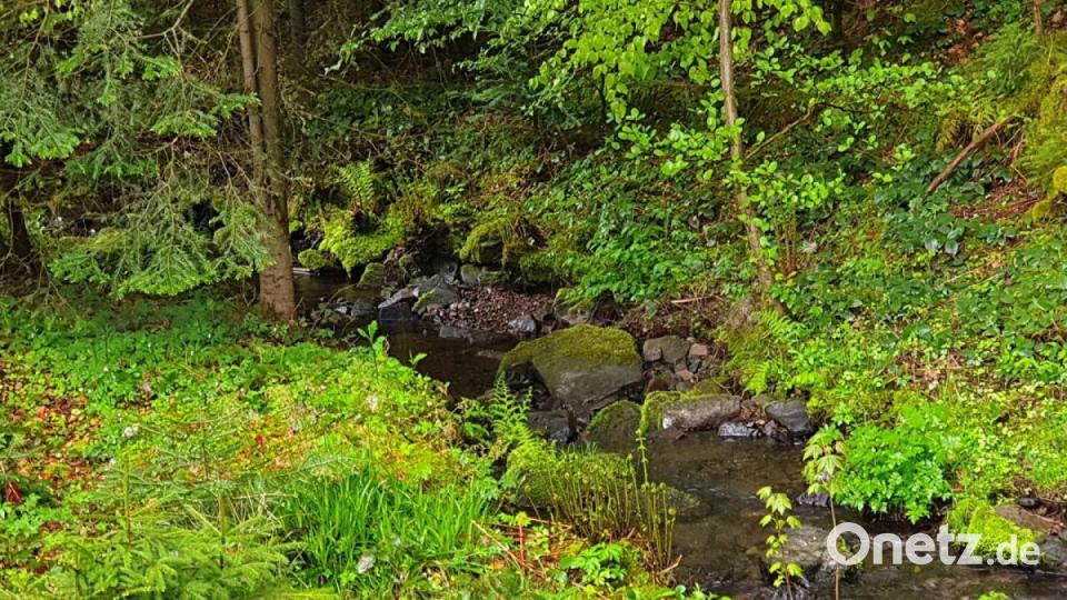 Unsere Facebook-Fans teilen ihre schönsten Sommerbilder mit uns. Bild: Ronny Zechel