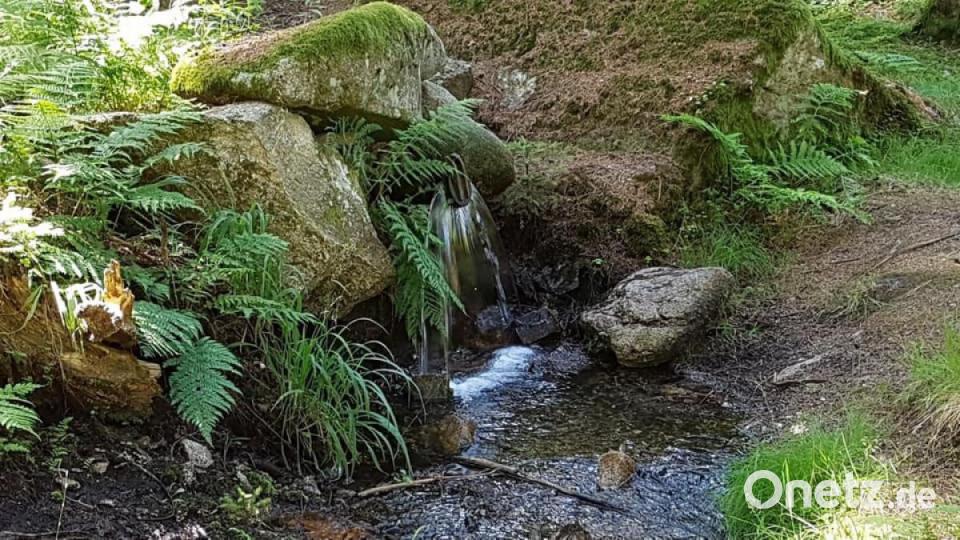 Unsere Facebook-Fans teilen ihre schönsten Sommerbilder mit uns. Bild: Helena Schön