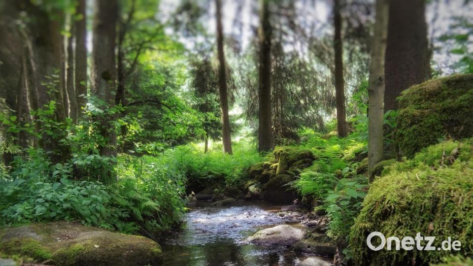 Unsere Facebook-Fans teilen ihre schönsten Sommerbilder mit uns. Bild: Thomas Gietzke