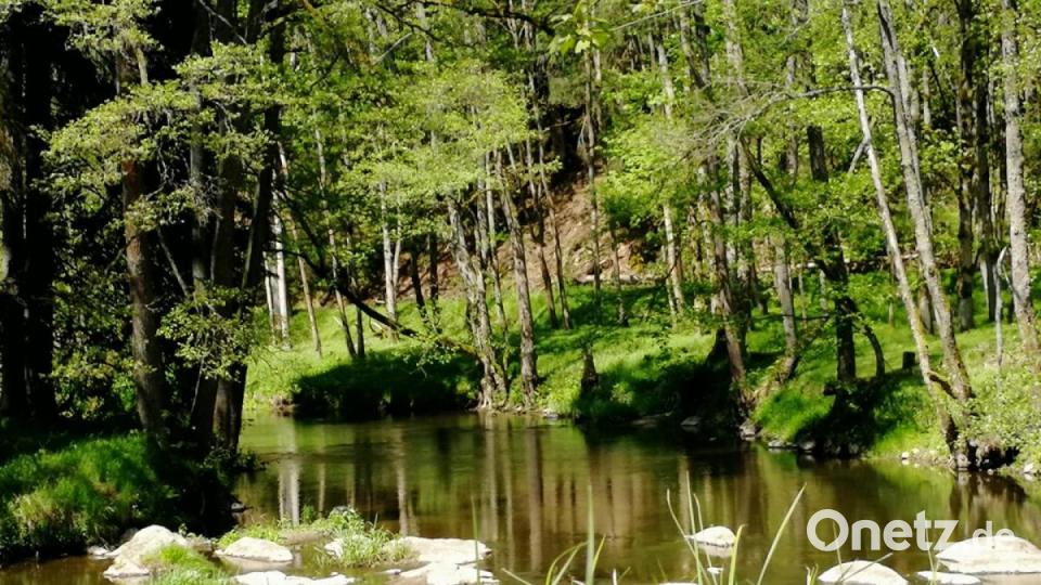 Unsere Facebook-Fans teilen ihre schönsten Sommerbilder mit uns. Bild: Stefanie Re