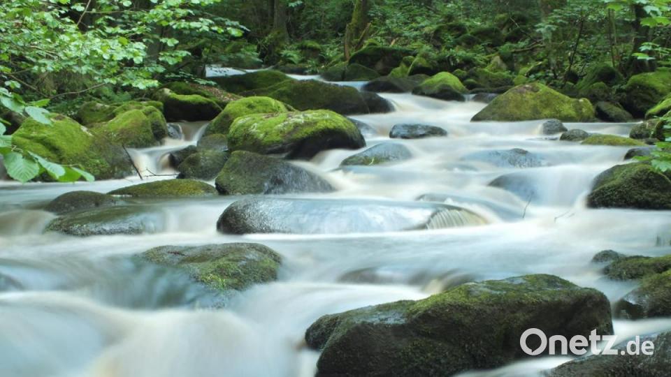 Unsere Facebook-Fans teilen ihre schönsten Sommerbilder mit uns. Bild: Ju Lia E