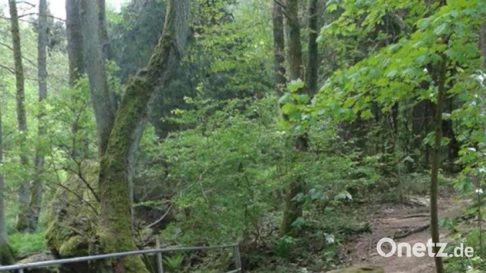 Unsere Facebook-Fans teilen ihre schönsten Sommerbilder mit uns. Bild: Elfriede Höhne