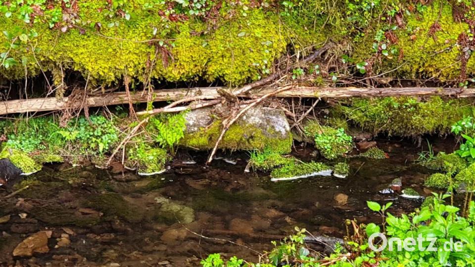 Unsere Facebook-Fans teilen ihre schönsten Sommerbilder mit uns. Bild: Ronny Zechel
