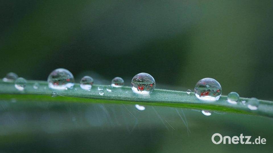 Unsere Facebook-Fans teilen ihre schönsten Sommerbilder mit uns. Bild: Daniel Seibold