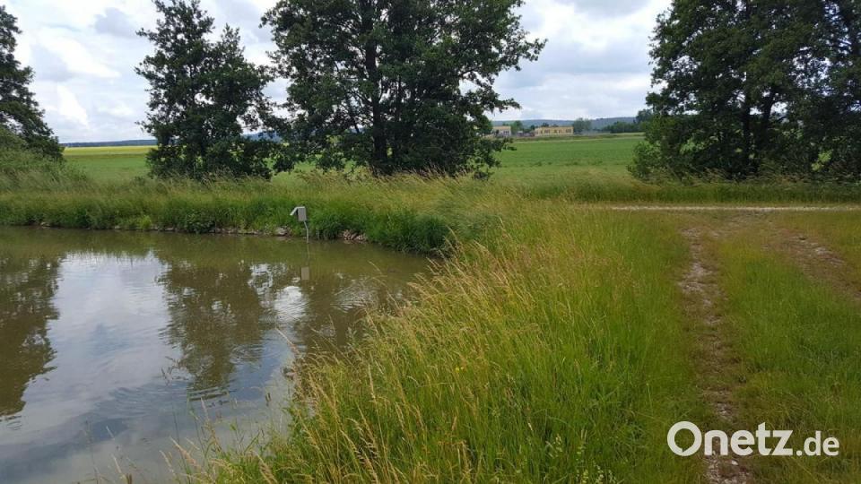 Unsere Facebook-Fans teilen ihre schönsten Sommerbilder mit uns. Bild: Andi Ba