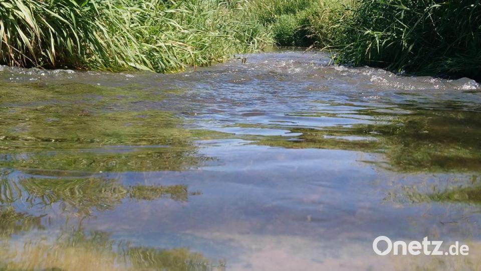 Unsere Facebook-Fans teilen ihre schönsten Sommerbilder mit uns. Bild: Monika Speckner