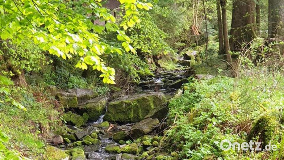 Unsere Facebook-Fans teilen ihre schönsten Sommerbilder mit uns. Bild: Ronny Zechel