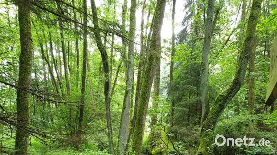 Unsere Facebook-Fans teilen ihre schönsten Sommerbilder mit uns. Bild: Sandra Dietl