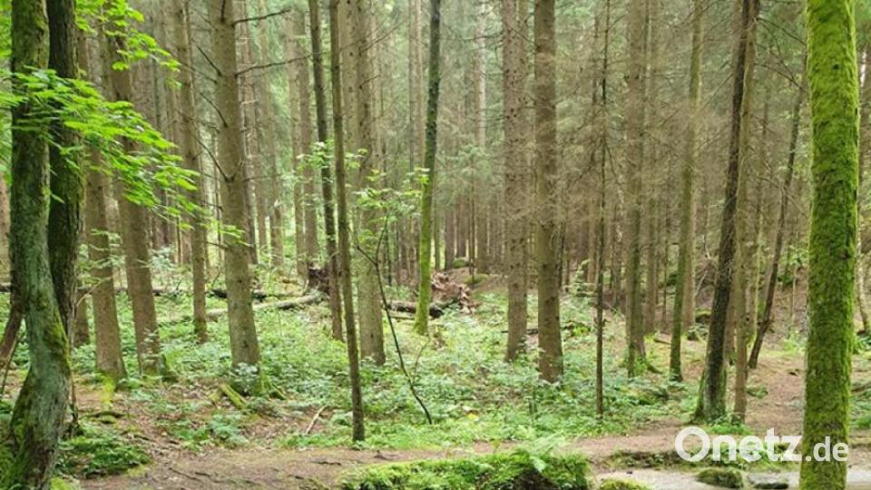 Unsere Facebook-Fans teilen ihre schönsten Sommerbilder mit uns. Bild: Sandra Dietl