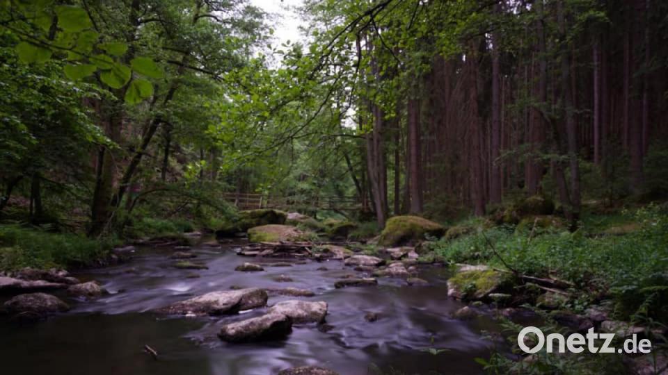 Unsere Facebook-Fans teilen ihre schönsten Sommerbilder mit uns. Bild: Verena Hörold