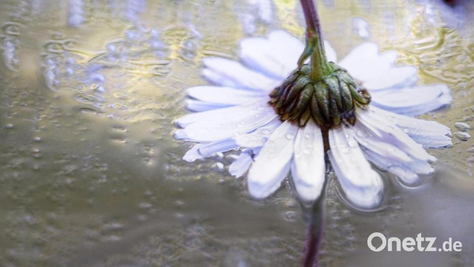 Unsere Facebook-Fans teilen ihre schönsten Sommerbilder mit uns. Bild: Daniel Seibold