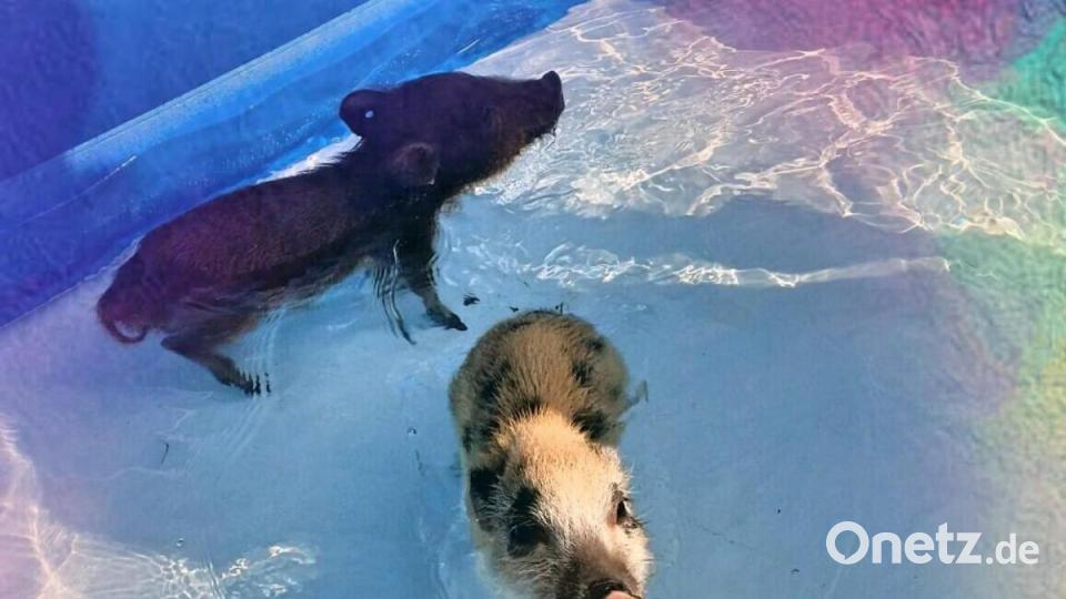 Unsere Facebook-Fans teilen ihre schönsten Sommerbilder mit uns. Bild: Sarah Weise