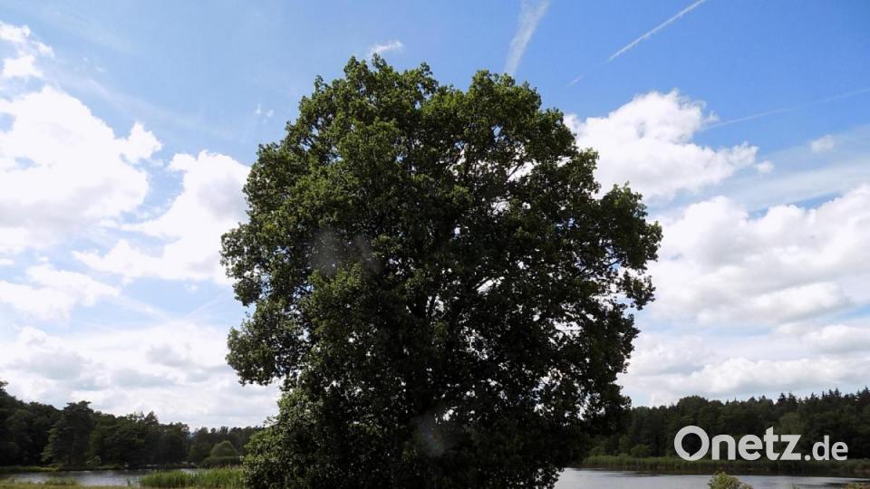 Unsere Facebook-Fans teilen ihre schönsten Sommerbilder mit uns. Bild: Hans-Jürgen Riedl