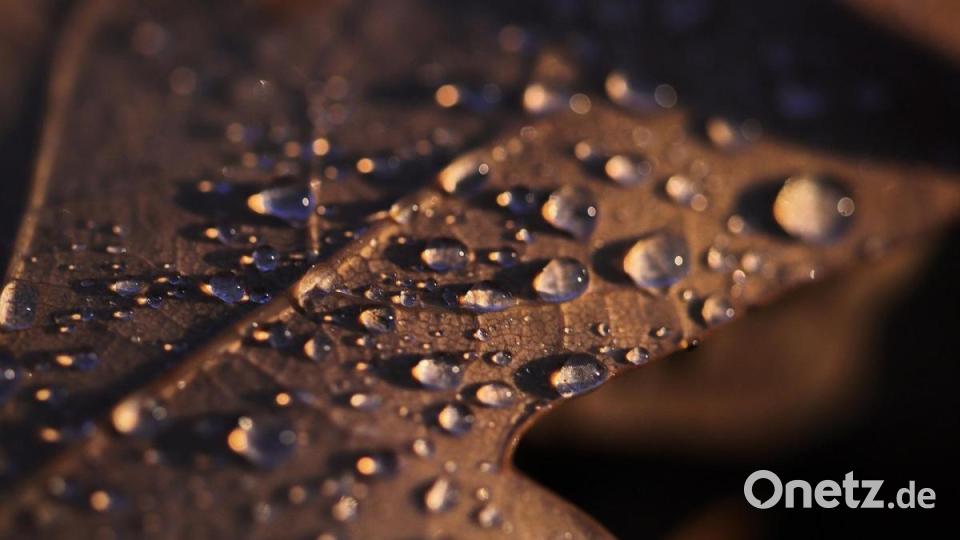 Unsere Facebook-Fans teilen ihre schönsten Sommerbilder mit uns. Bild: Daniel Seibold