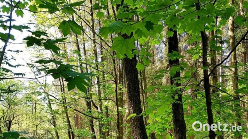 Unsere Facebook-Fans teilen ihre schönsten Sommerbilder mit uns. Bild: Chris Tiana