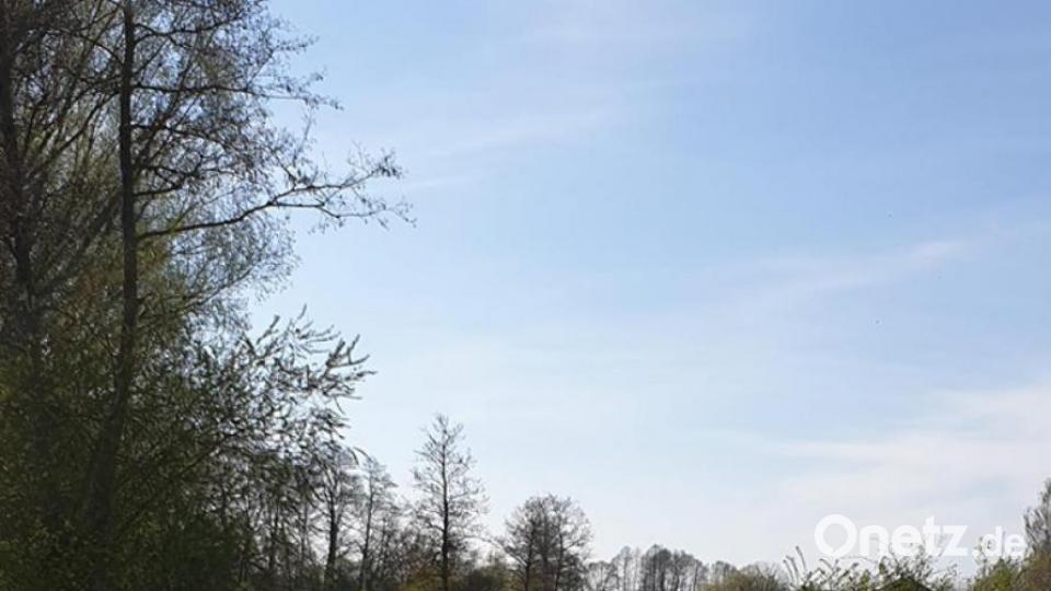 Unsere Facebook-Fans teilen ihre schönsten Sommerbilder mit uns. Bild: Christine Neuber