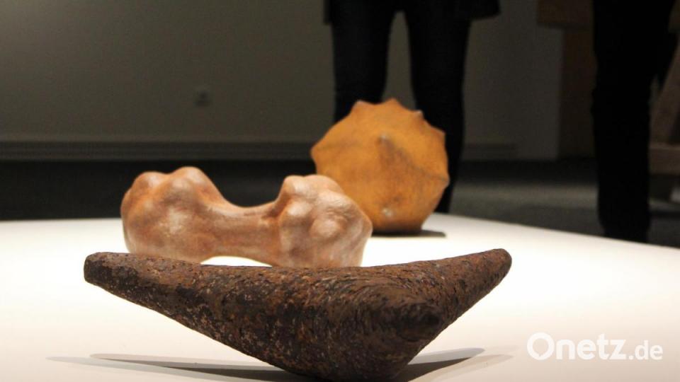 Lebewesen, Knochen und Kosmos: Ihre Eisenguss-Skulpturen stellen Plankton und Viren dar. Bild: dwi