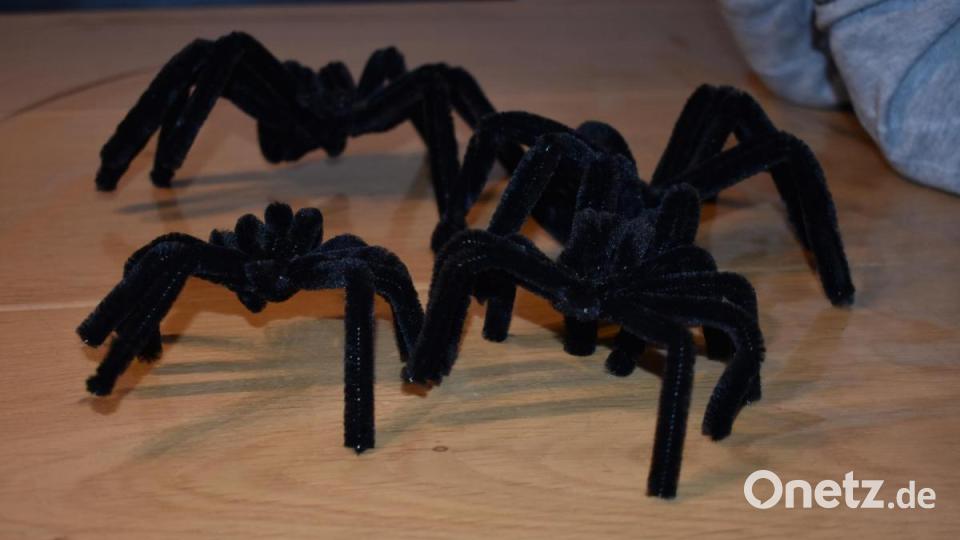 Spinnen bastelt Yvonne Schmid aus Pfeiffenreinigern und verteilt sie dann mit ihren Kindern am Haus. Bild: lue