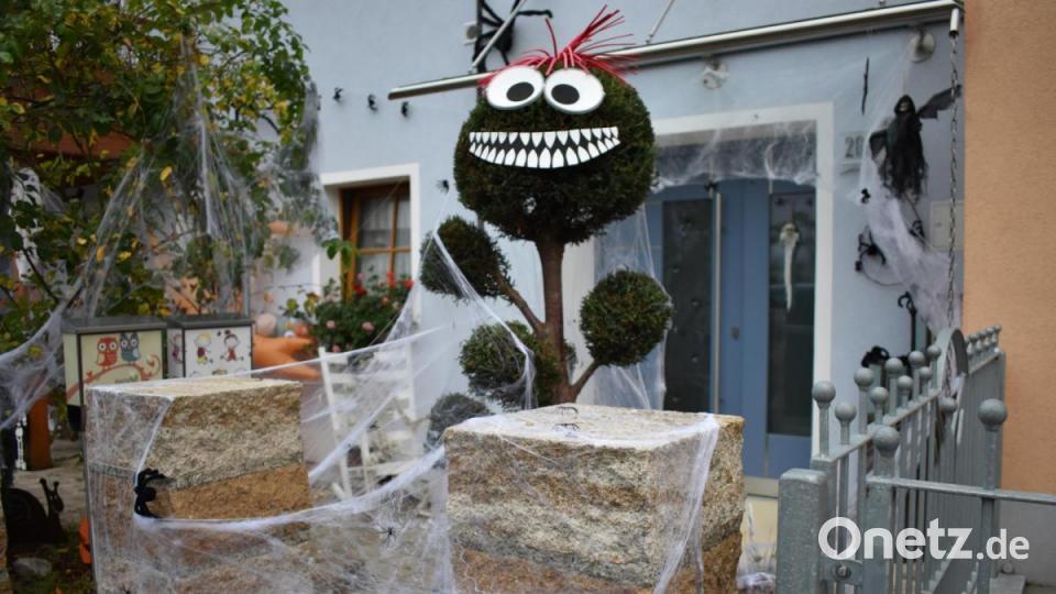 Ein Pom-Pom-Baum im Vorgarten grinst den Spaziergängern mit seinen spitzen Zähnen und großen Augen entgegen. Bild: lue