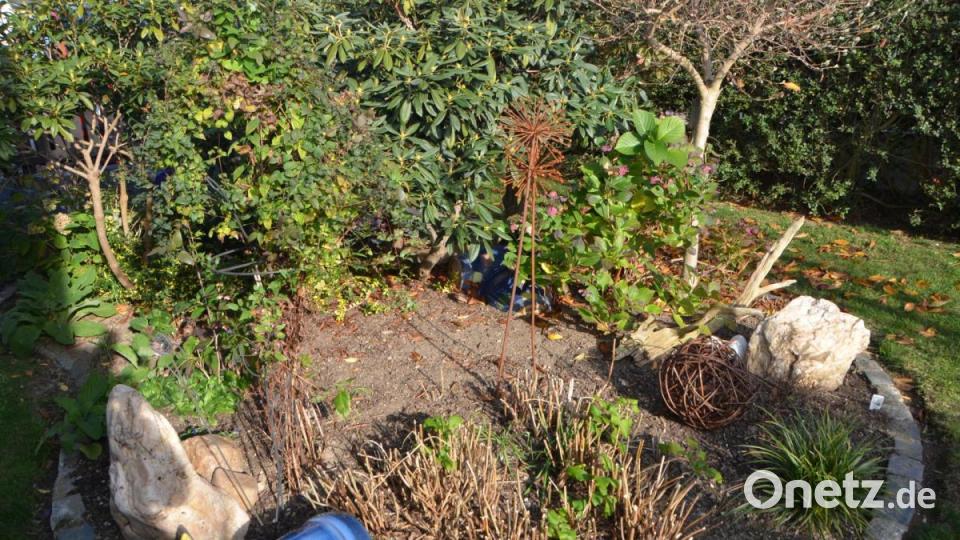 Die blühenden Raritäten sind zurückgeschnitten. Stauden und Rabatte sind bereits für den Winter fit. Bild: dob