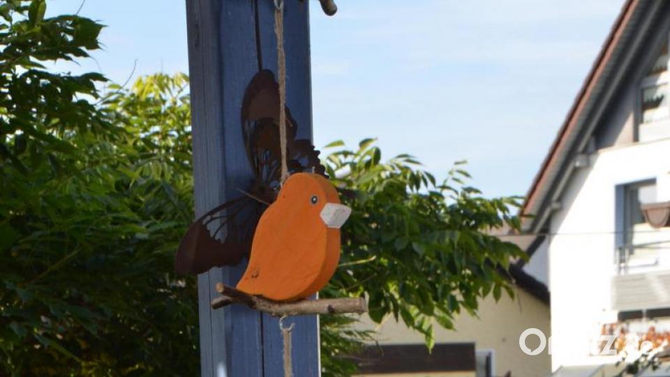 Bunte Vogelwelt. Bild: dob