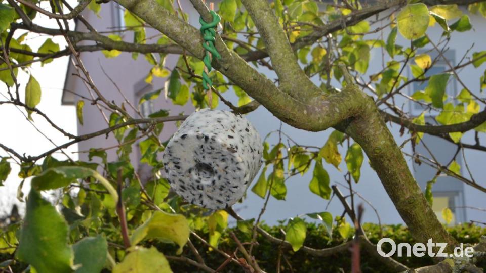 Gieler-Garten Bild: dob