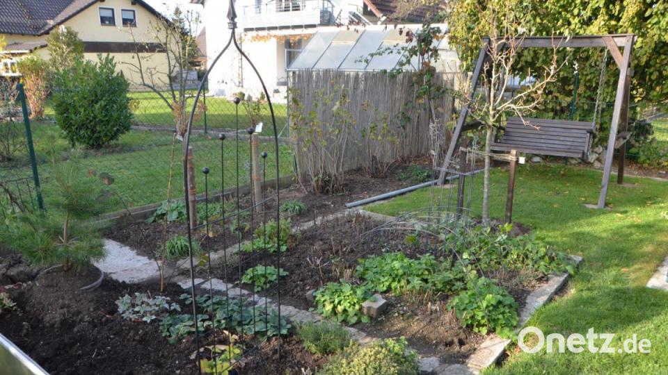 Die Gemüsebeete sind größtenteils abgeerntet. Bild: dob