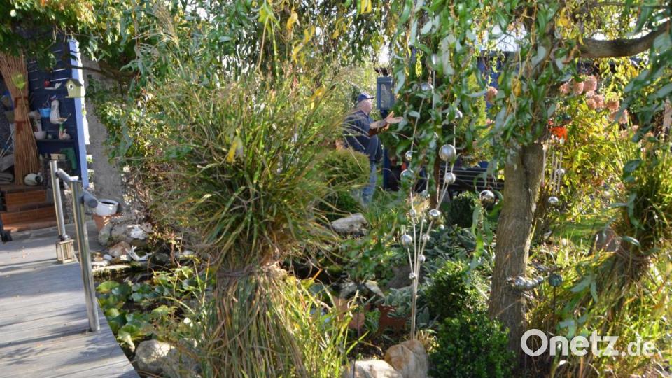 Willkommen im Garten! Bild: dob