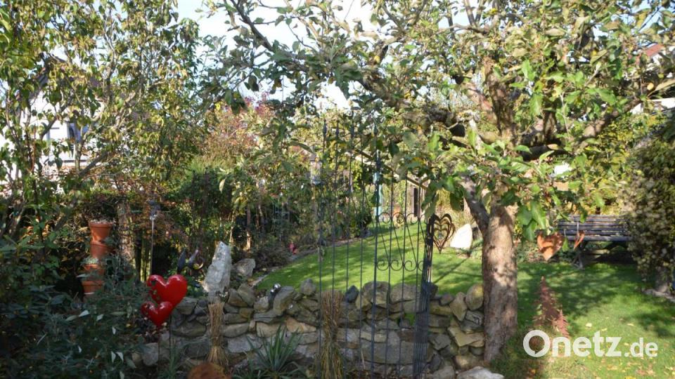 Nichts ist in Stein gemeißelt. Leben ist nur dort, wo auch Wandel ist. Der Herbstschnitt ist bereits erfolgt. Bild: dob